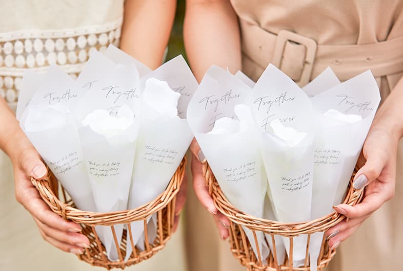 フォトギャラリー GALLERY